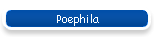 Poephila